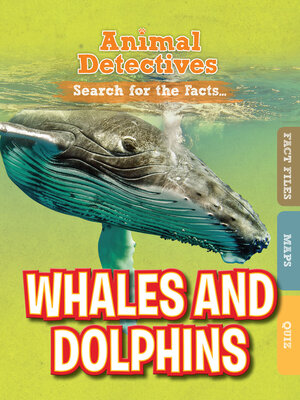 cover image of Whales & Dolphins